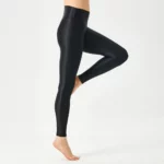 Sheer Shiny Leggings